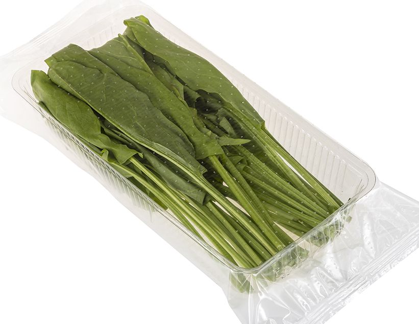 

Щавель Greenery мытый 100 г