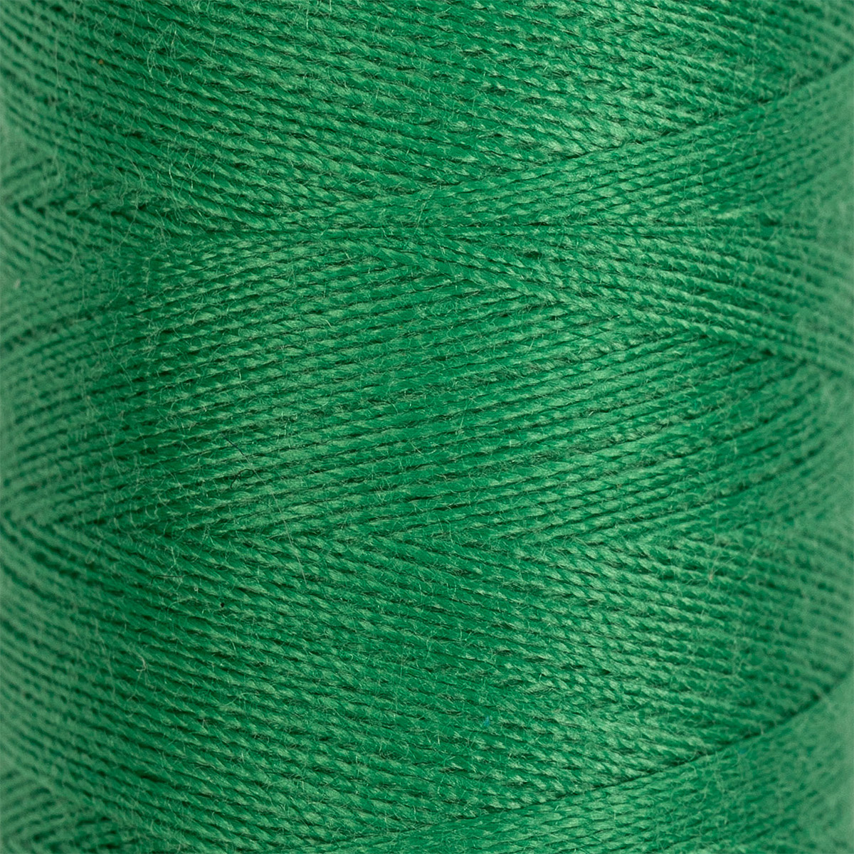 

Gamma полиэстер, 4570 м, №209, ярко-зеленый