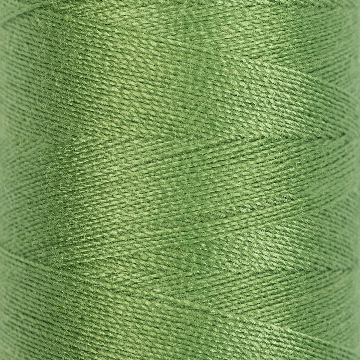 

Gamma полиэстер, 400 я, 10 шт, 365 м, №207, блекло-зеленый