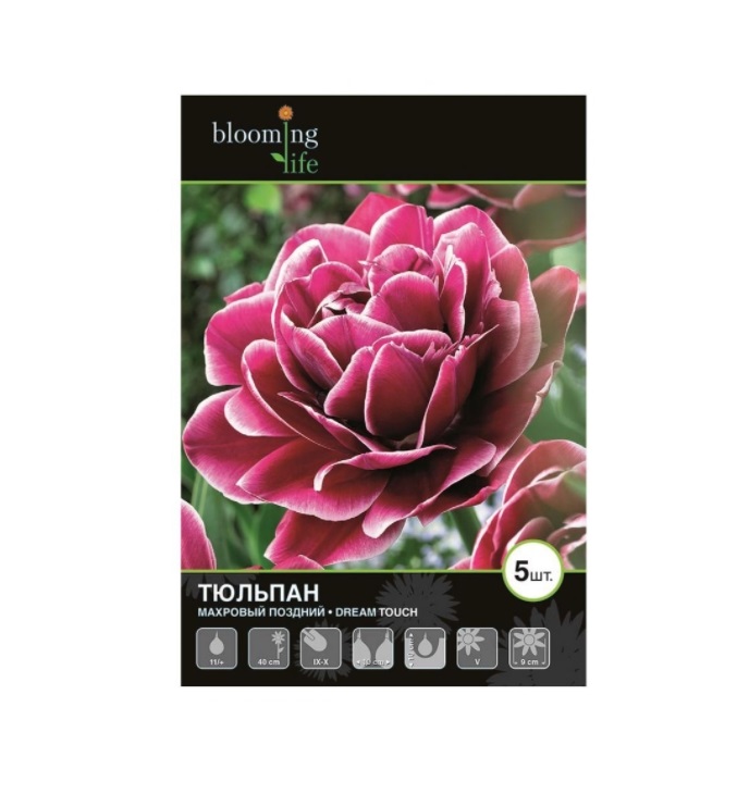 

Луковицы тюльпан Дрим Тач Blooming life 5 шт.
