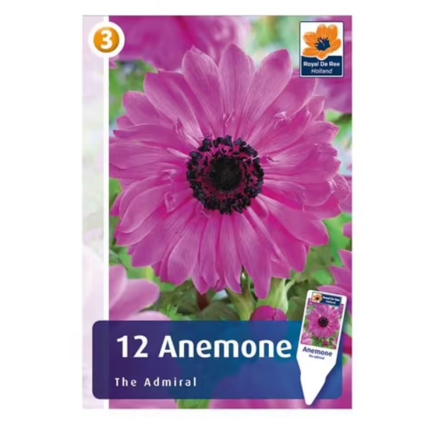 

Луковицы анемона Зе Адмирал De Ree Holland 8 шт.