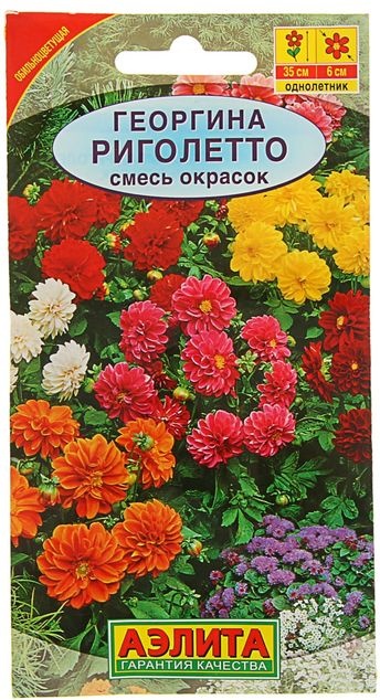 Семена георгинов Аэлит английского садово-паркового типа, 1 упаковка.