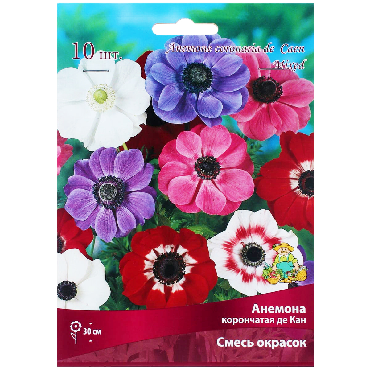 

Клубни анемона Поиск Де Кан 741605 10 шт.