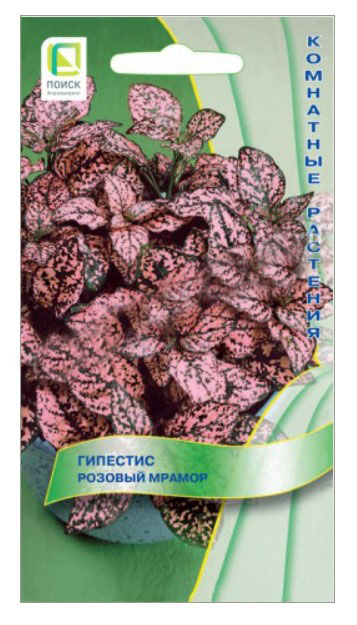 

Семена "Гипестис Розовый мрамор", 7 штук