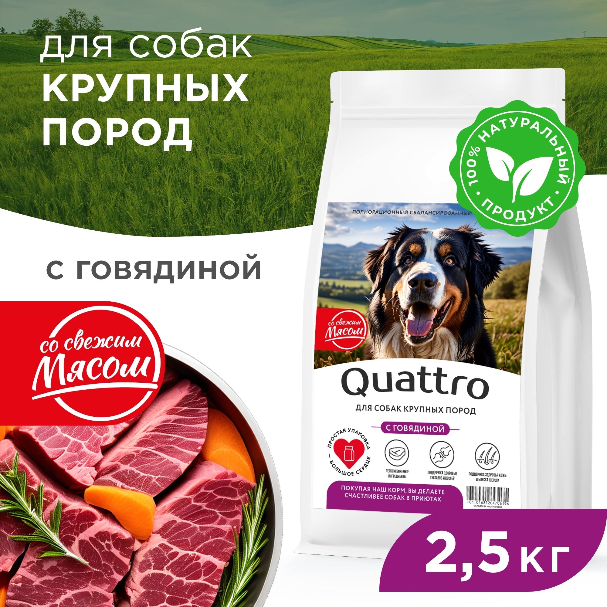 Сухой корм для собак QUATTRO, для крупных пород, говядина, 2,5 кг