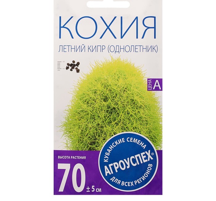 

Семена цветов Агроуспех кохия Летний Кипр 0,5 г