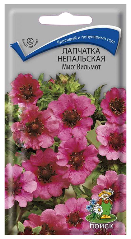 

Семена лапчатка Поиск Непальская мисс вильмот 310692 1 уп.