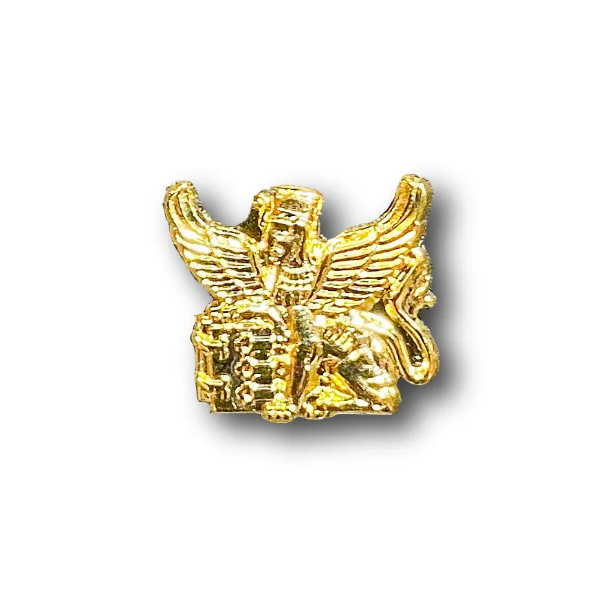 

Знак Фрачный Служба Защиты Государственной Тайны ( Сфинкс ) (Золотистый / Пуссета)