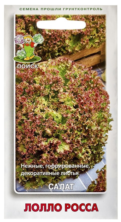 

Семена салат Лолло росса Поиск 470514