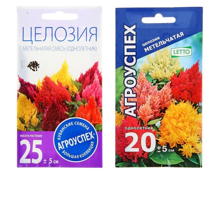 

Семена целозия Агроуспех Метельчатая 1 уп.