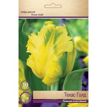 Луковицы тюльпан Техас Голд Поиск