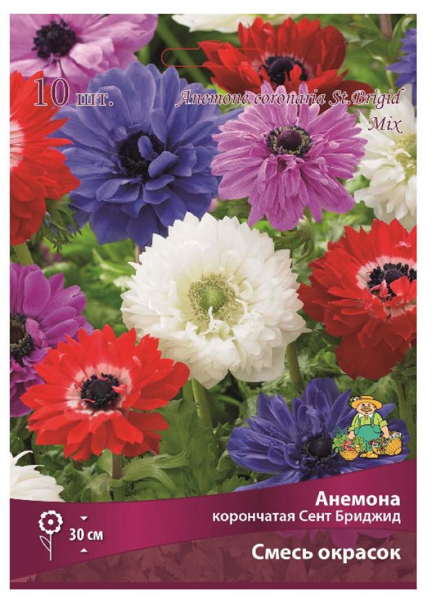 

Семена анемона Сент Бриджит 1 уп.