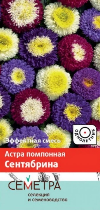 

Семена цветов Поиск астра Помпонная Сентябрина 0,3 г