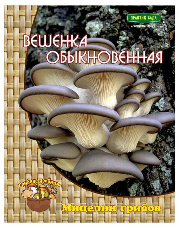 Мицелий грибов Поиск Вешенка обыкновенная на древесной палочке 12 шт.