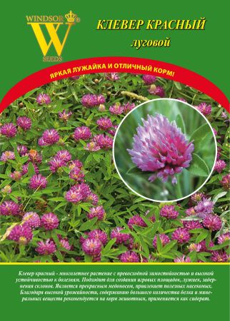 фото Семена. клевер красный луговой виндзор "тайфун", 3 кг русский огород