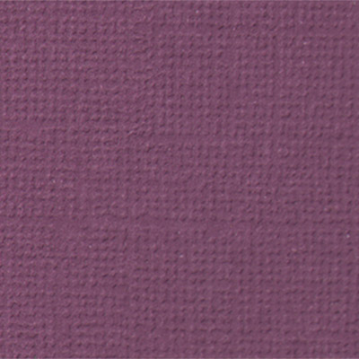 

Mr.Painter 216 г/м2, 30,5х30,5 см, 10 шт, 12, Молодой виноград, Фиолетовый