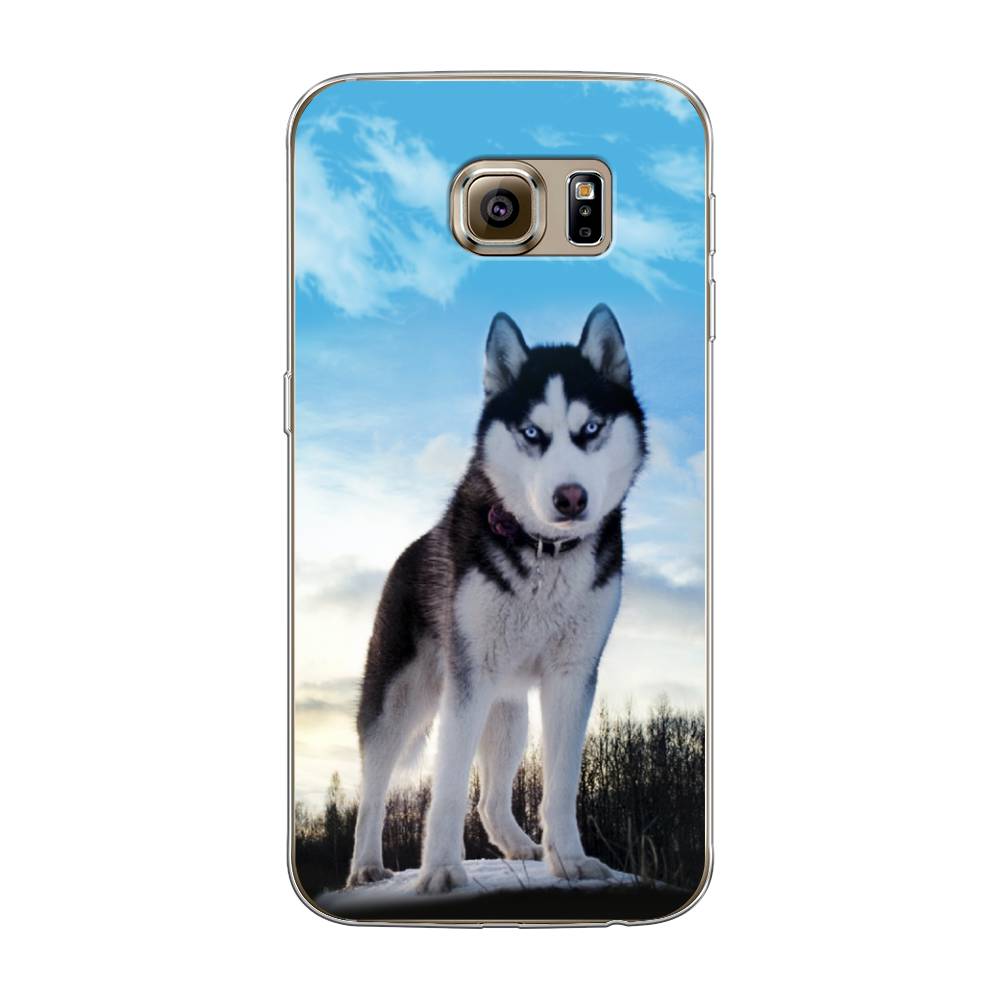 

Чехол Awog на Samsung Galaxy S6 "Хаски 3", Белый;черный;голубой, 24350-2