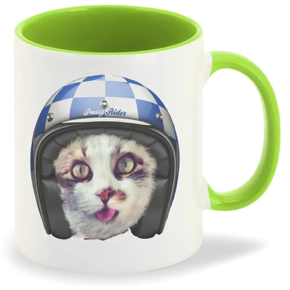 Кружка CoolPodarok Котик Пусси Райдер