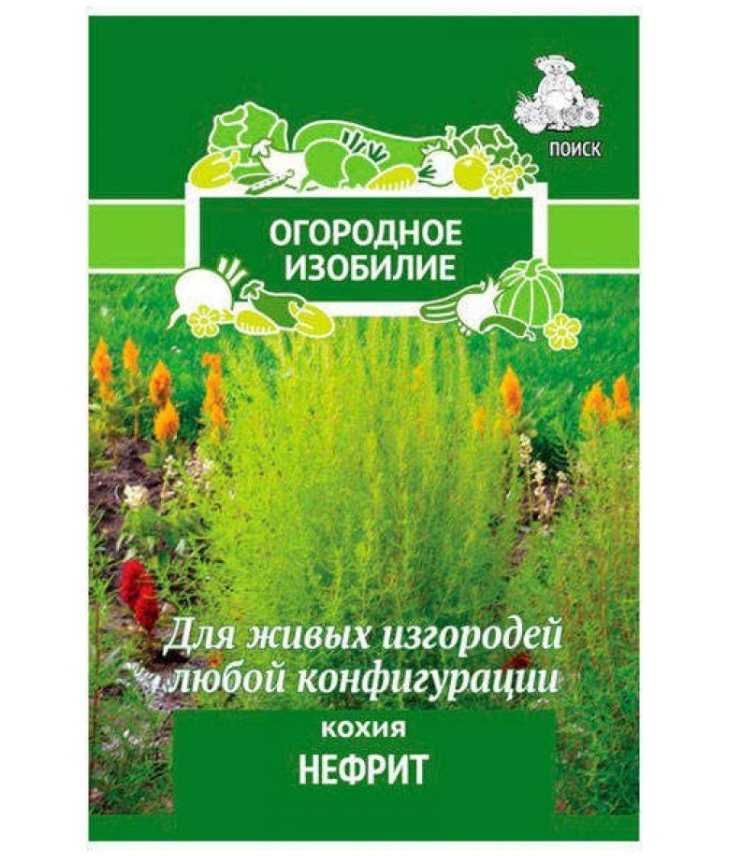 

Семена кохия Поиск Нефрит 1 уп.