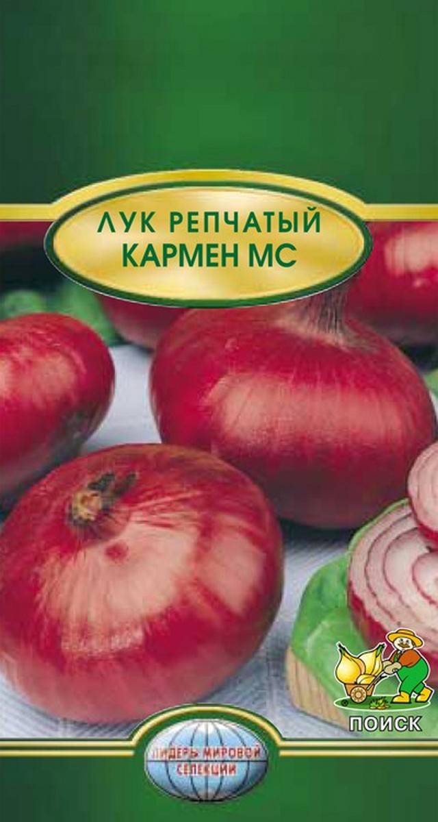 

Семена лук Поиск Кармен 1 уп.