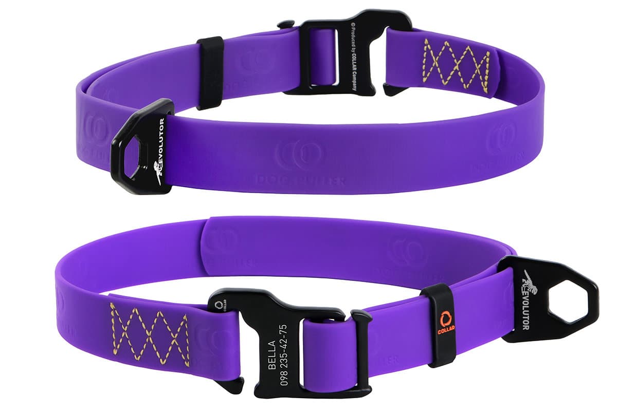 фото Ошейник для собак collar эволютор резина, фиолетовый, обхват шеи 25-70 см