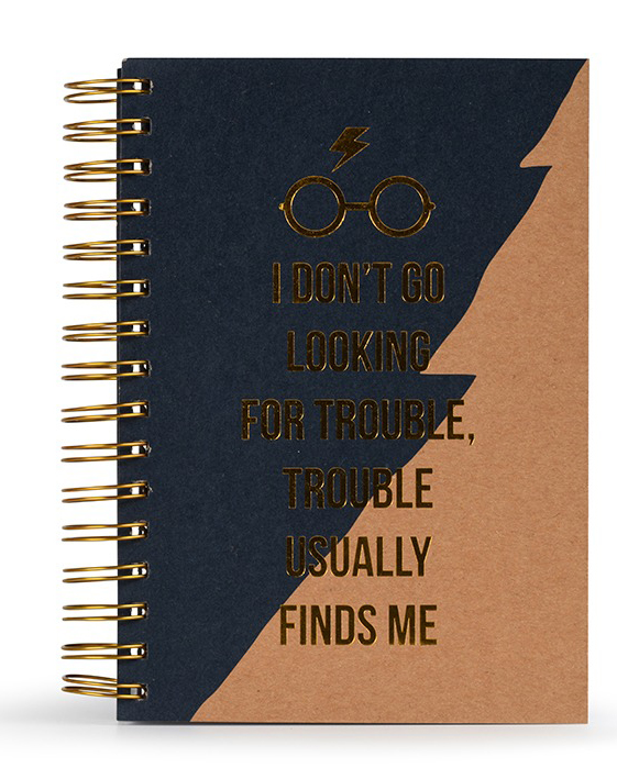 фото Блокнот harry potter: trouble usually finds me a5 premium a5 pyramid international