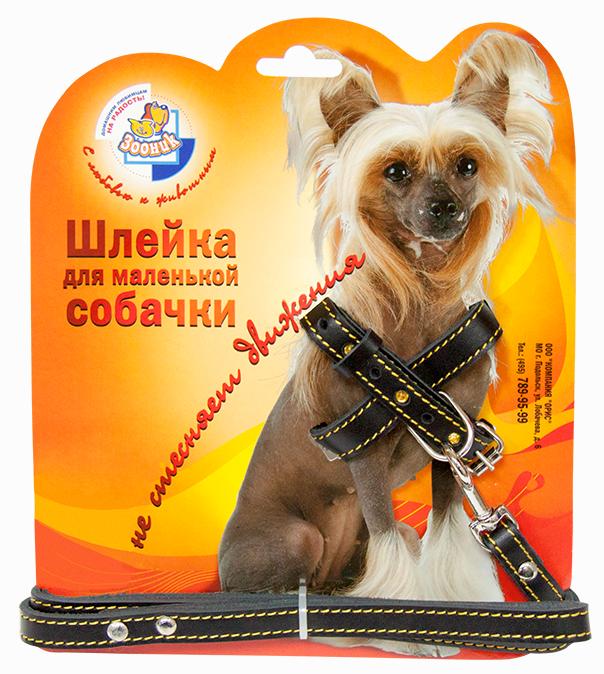 

Комплект Зооник кожа для щенков и мелких пород собак,шлейка со стразами, Коричневый