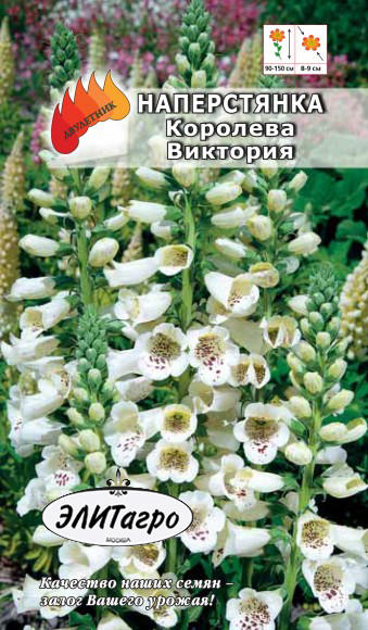 

Семена. Наперстянка "Королева Виктория", двулетник (вес: 0,1 г)