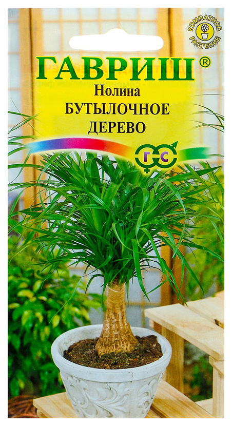 

Семена. Нолина "Бутылочное дерево" (3 штуки)