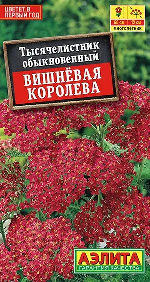 

Семена тысячелистник Аэлита Вишневая королева 00-00587376 1 уп.