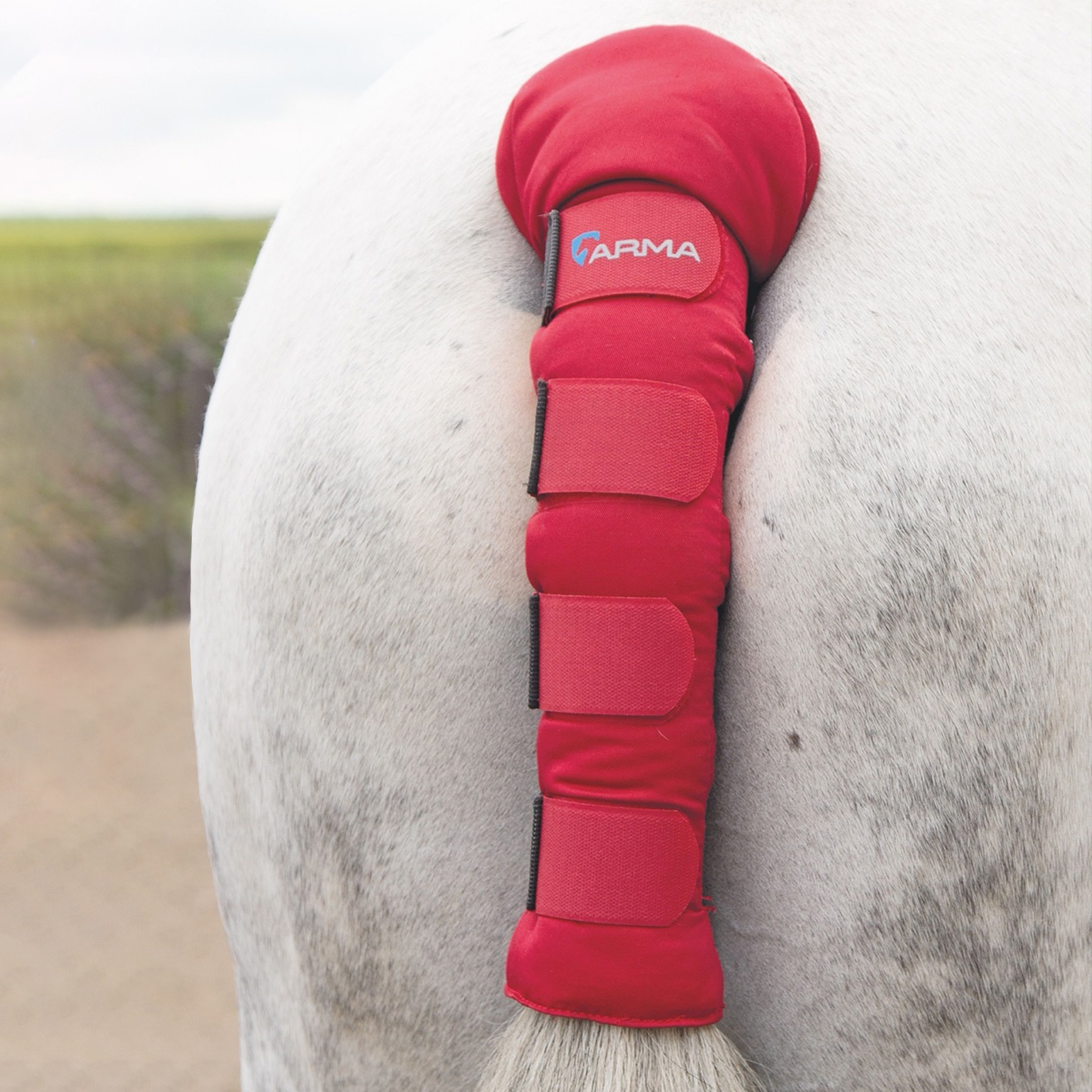 

Нахвостник транспортировочный для лошади SHIRES ARMA Comfort, красный