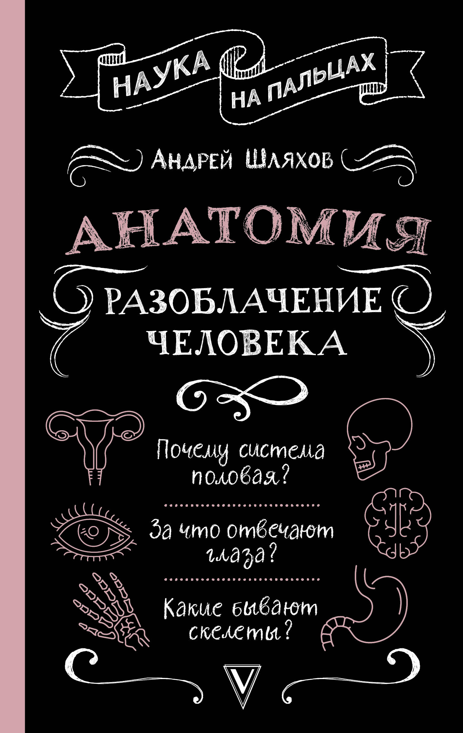 

Анатомия