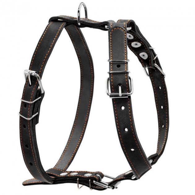 

Шлейка для собак Collar одинарная, кожа, черный 25мм