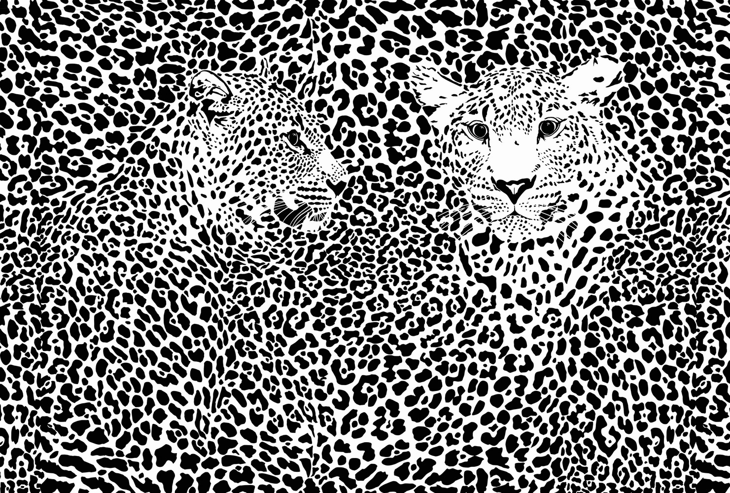 Обои Milan (Черно-белые леопарды), M 604, 200х135 см