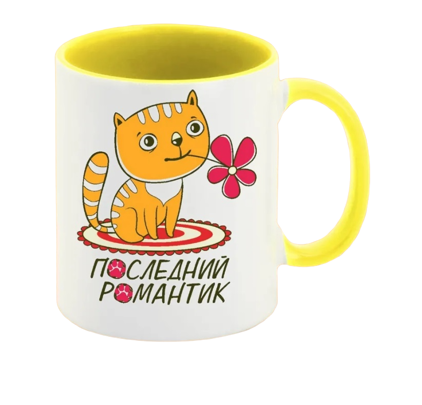 

Кружка CoolPodarok Последний романтик