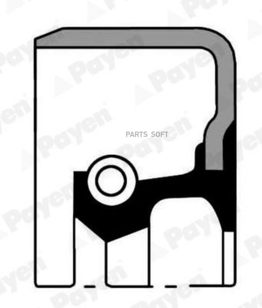 PAYEN 32-45-8 САЛЬНИК МКПП
