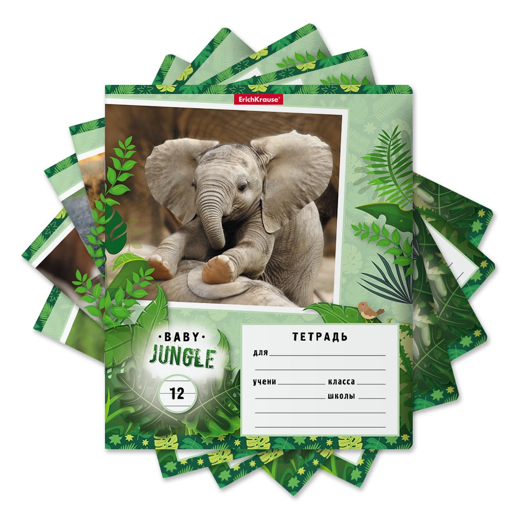

Тетрадь школьная ErichKrause 012010154-48833 Baby jungle линейка 12 листов А5 1 шт, Baby jungle