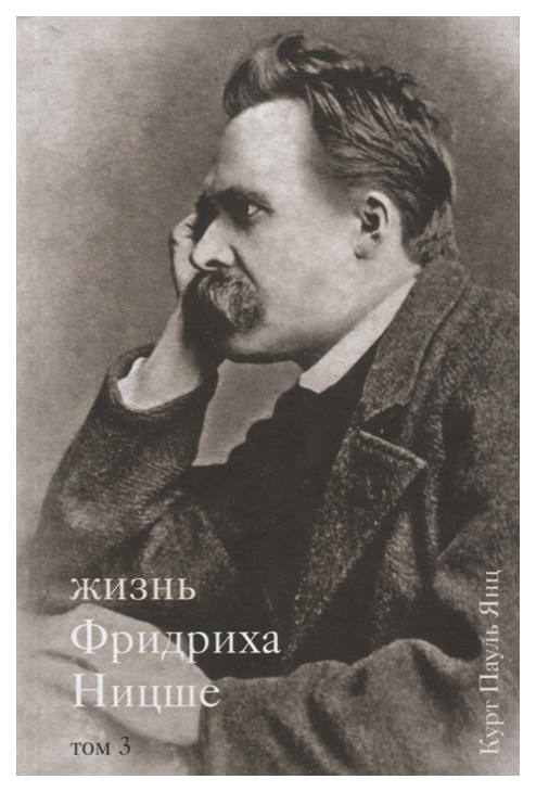 

Жизнь Фридриха Ницше. Том 3