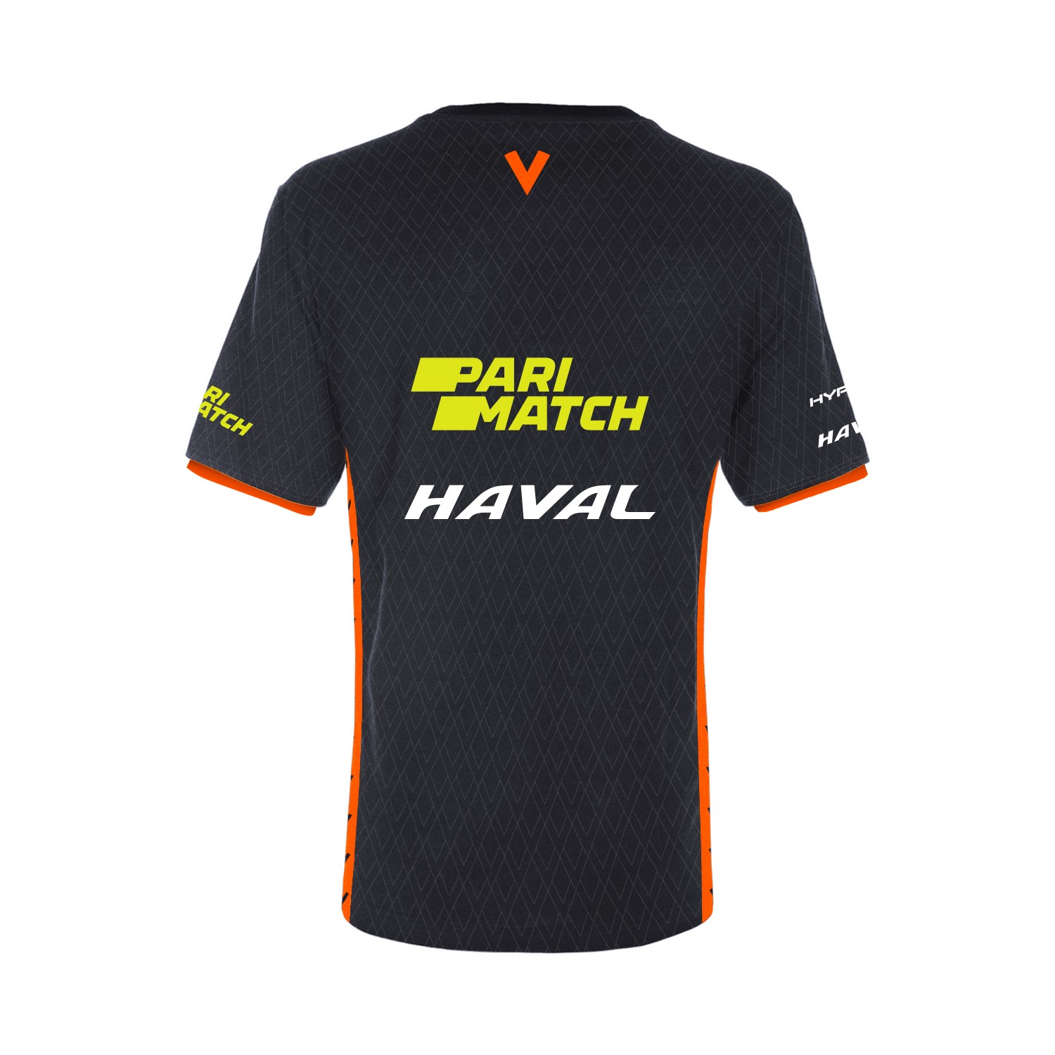 

Футболка мужская 2020 DOTA2 Edition Virtus.pro черная M, 2020 DOTA2 Edition
