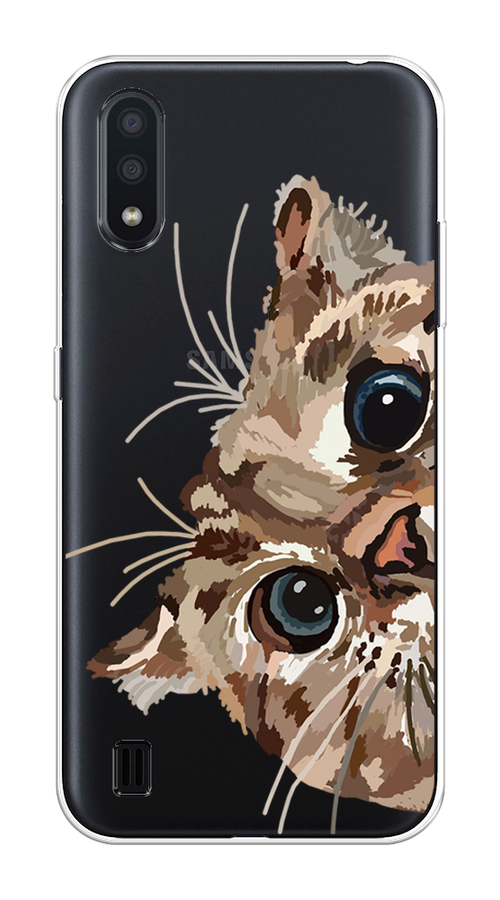 

Чехол на Samsung Galaxy A01 "Любопытный кот", Коричневый;синий;черный, 29550-1