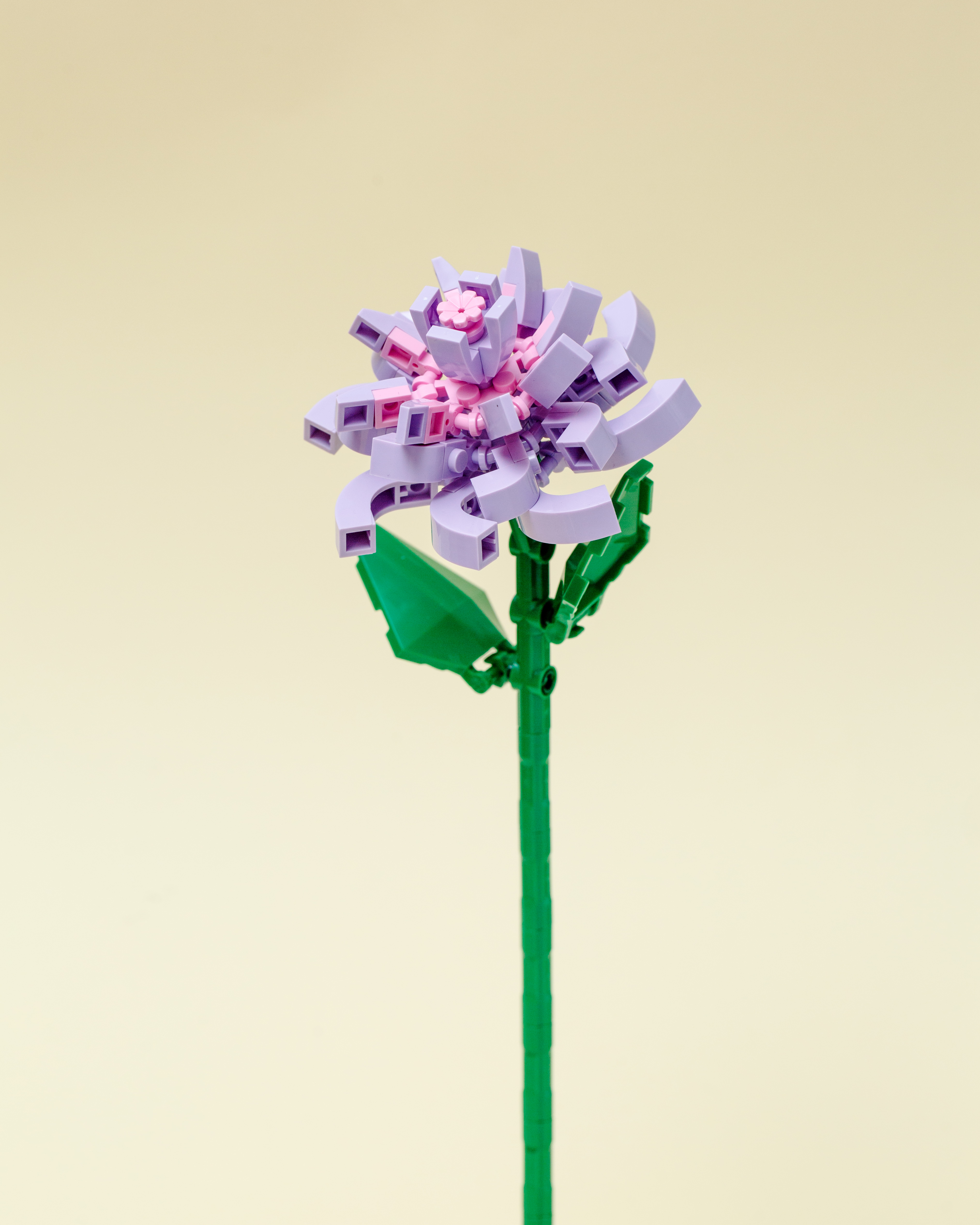 

Конструктор Sembo Block цветок Камелия японская сиреневая, для девочек 6+, 95 деталей, 611008A