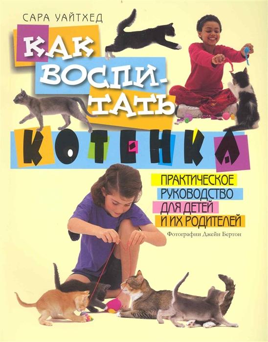 

Как воспитать котенка