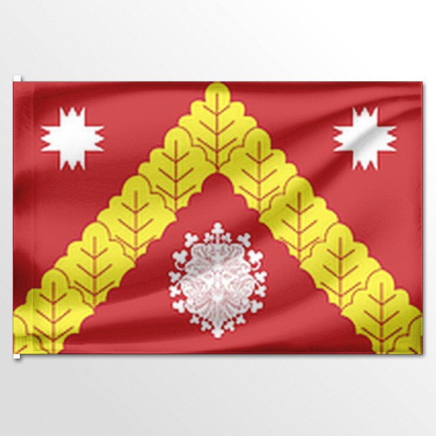 

Флаг ЦТП ФЕНИКС Крымзарайкинского сельского поселения 135x90 см, 6626-135x90