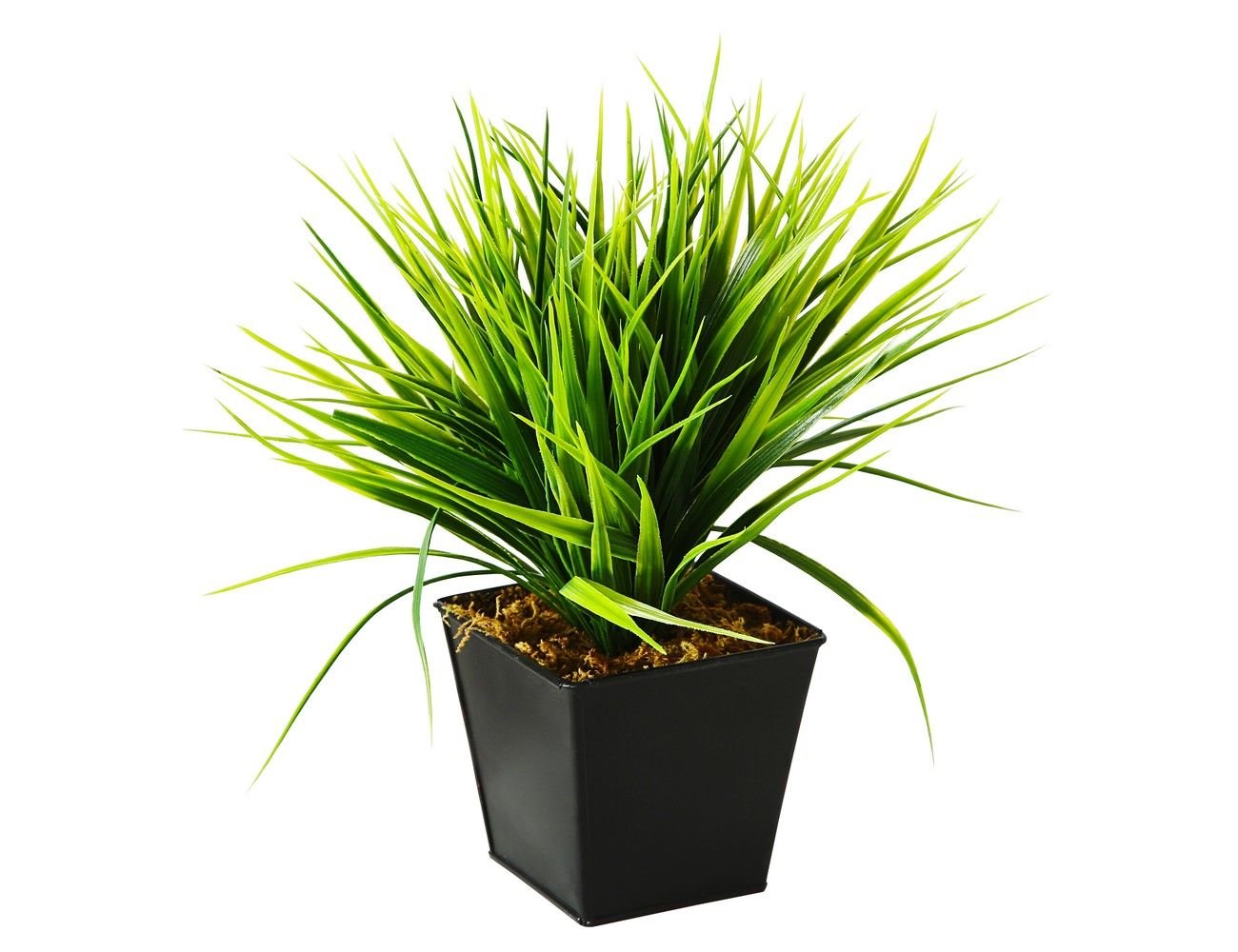 фото Искусственное растение декоративная трава, в горшке, пластик, 12 см, boltze