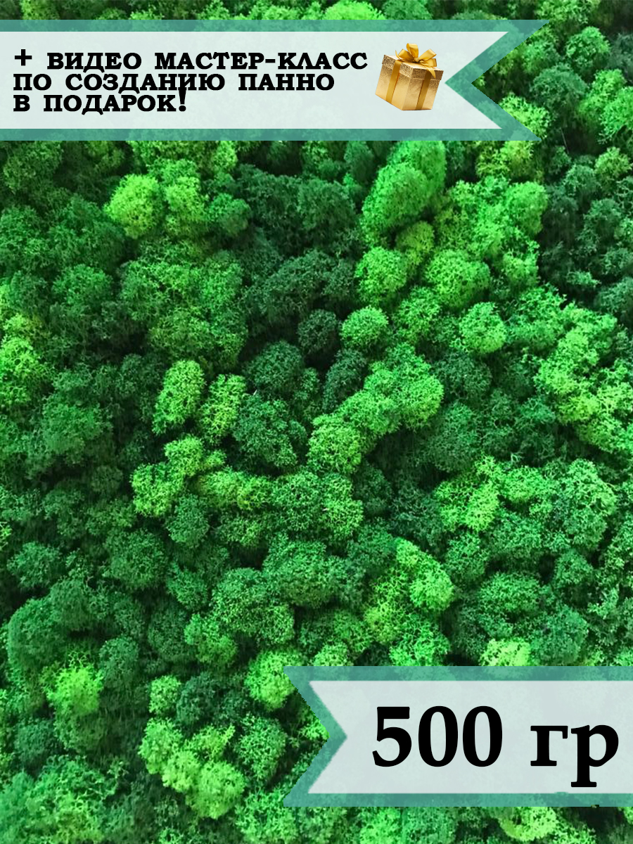 Стабилизированный мох зелёный, 500 г
