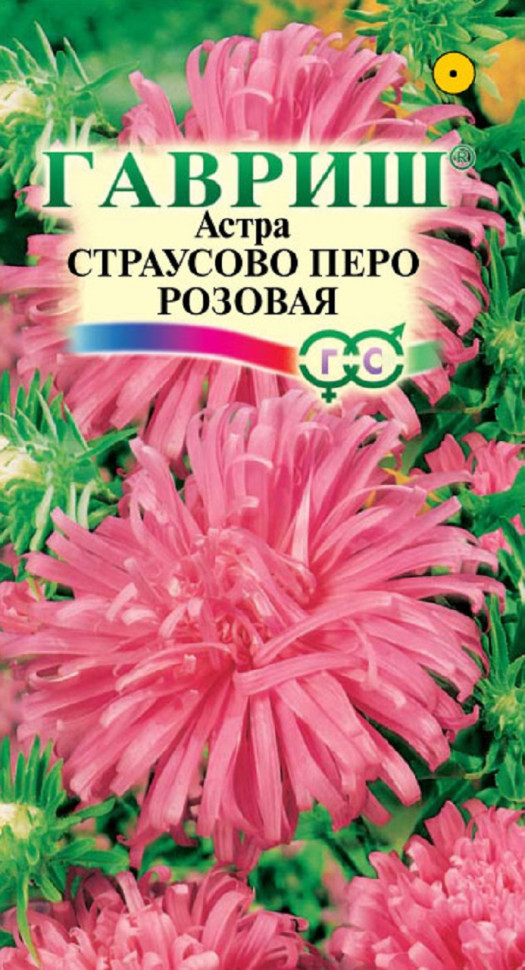 Семена астра Страусово перо розовая Гавриш 10000544-10 1 уп.