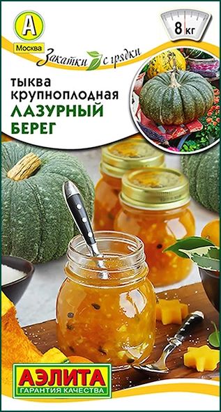 

Семена тыква Аэлита Лазурный берег 1 уп.