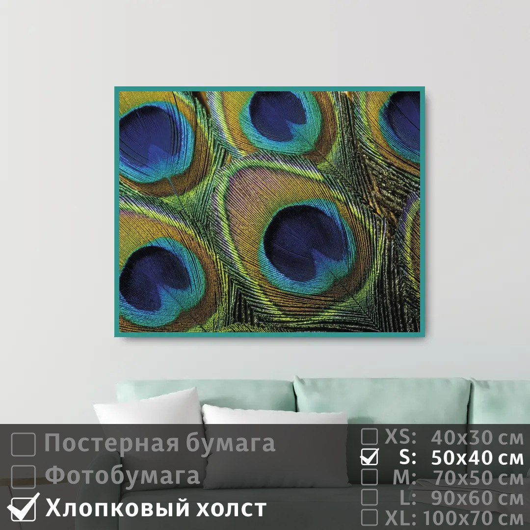 

Постер на холсте ПолиЦентр Перья павлина 50х40 см, ПерьяПавлина