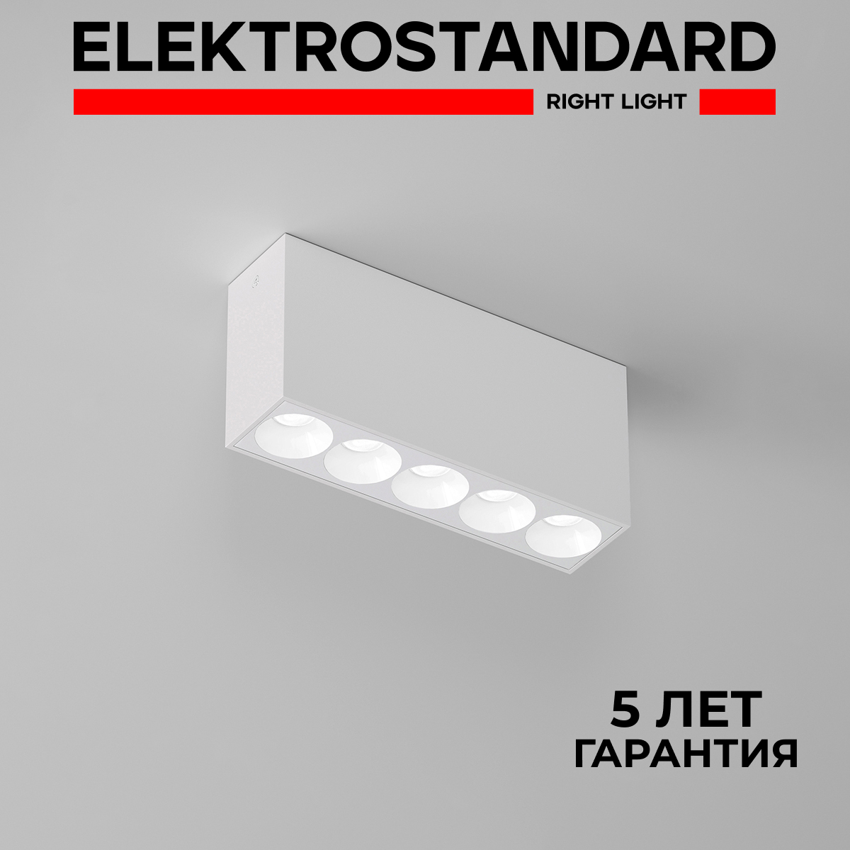 

Накладной светодиодный светильник Elektrostandard Block 25108/LED 10W 4000K черный, Block