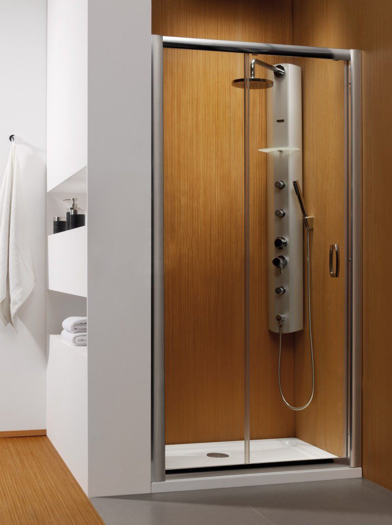 

Душевая дверь в нишу Radaway Premium Plus DWJ 100 прозрачное стекло